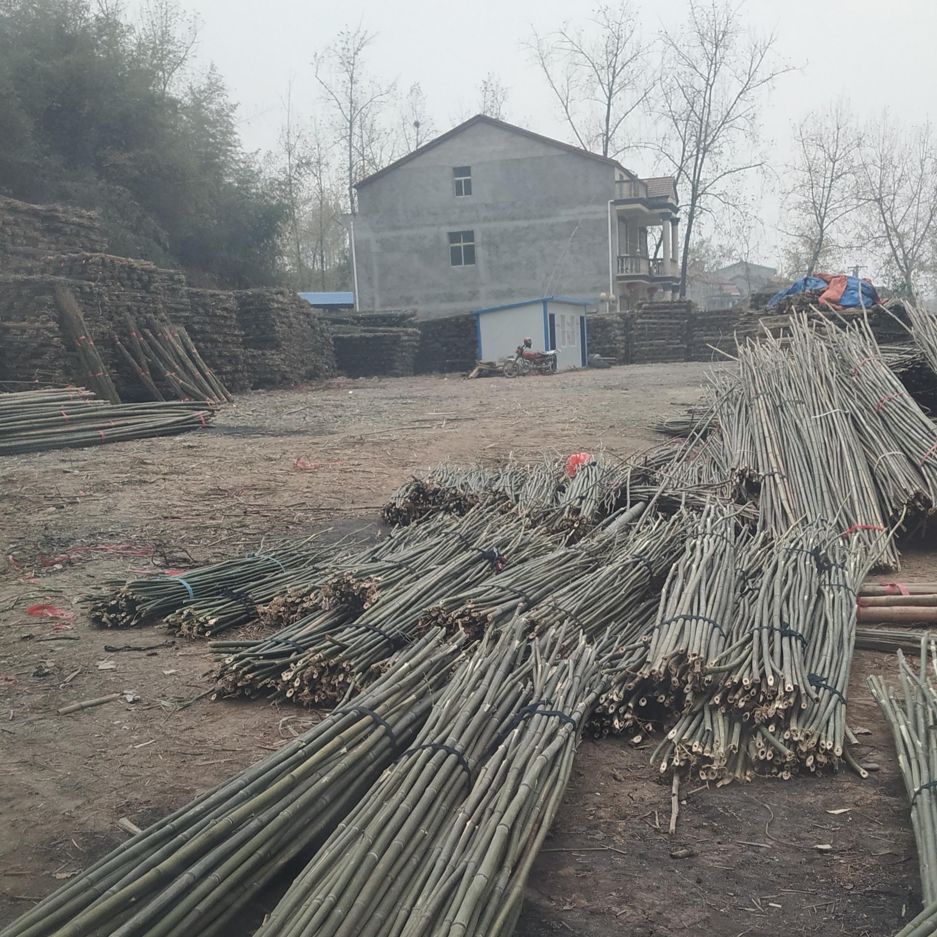 竹竿批发 产地小竹竿2.2米至3米 大竹竿批发4米至12米