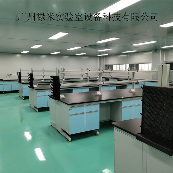 禄米实验室 钢木实验台 实验室边台耐腐蚀 实验室家具  LM-SYT111217