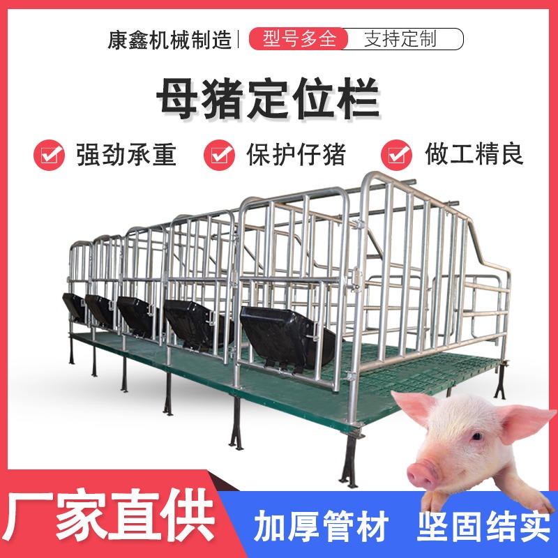 定位栏母猪限位栏 落地定位栏 猪场围栏 养殖设备 漏粪板猪床 康鑫图片