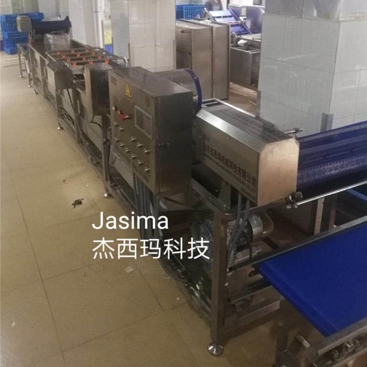 大枣全自动清洗机 杰西玛供应洗枣机 商用4000型果蔬清洗机