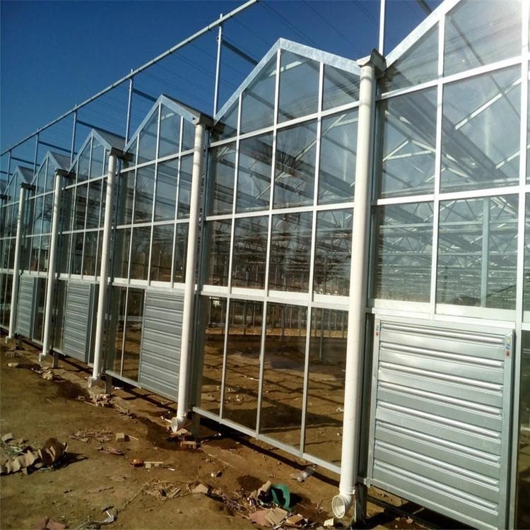 青州鑫泽农业 种植温室大棚 玻璃温室大棚建设厂家 玻璃生态温室大棚造价