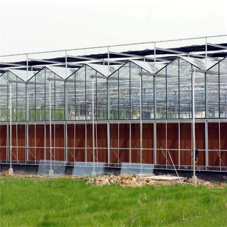 玻璃蔬菜温室大棚 施工建设玻璃温室 玻璃温室建造商