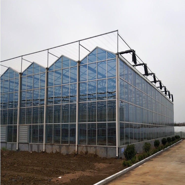 农业智能玻璃温室 玻璃温室 支持定制玻璃温室 博伟