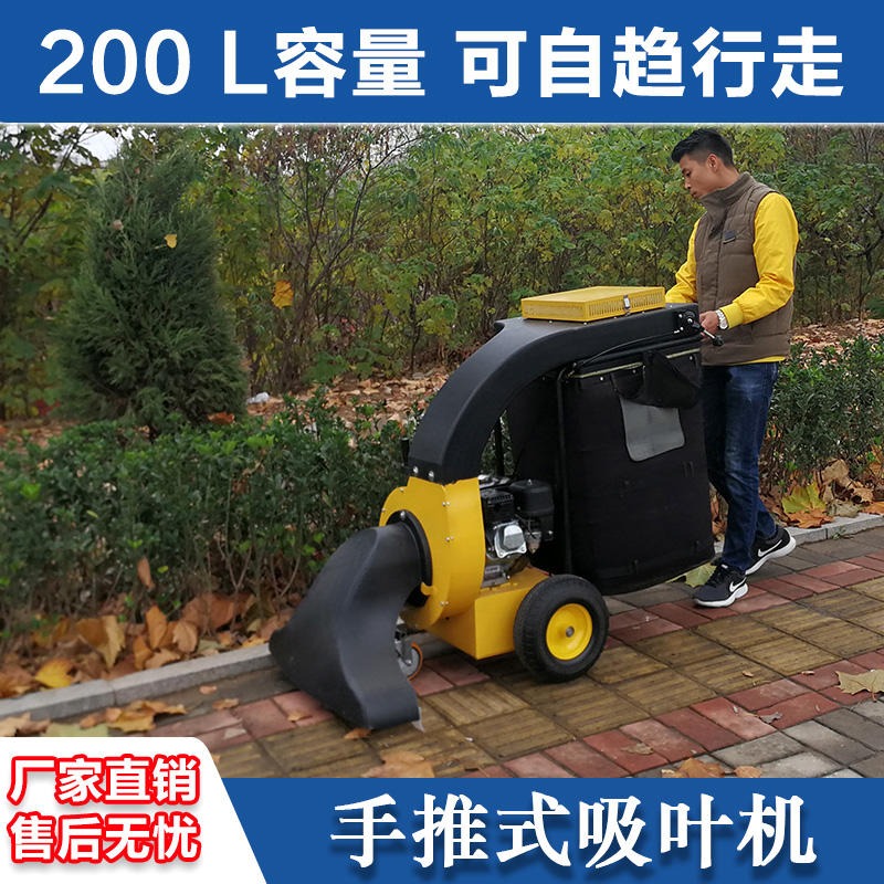 树叶清扫机 吸树叶机器 大面积吸树叶的机器 手推式吸叶机 落叶清扫车 百易/Baiyi BY-T2