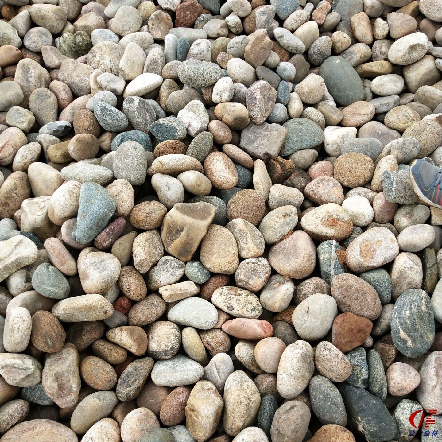 山东厂家供应 水处理鹅卵石 变压器鹅卵石 盆栽铺面鹅卵石 量大优惠图片