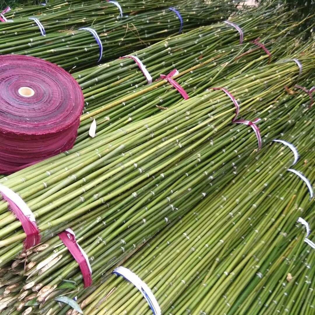 菜架竹厂家 芸豆架黄瓜爬藤搭架用支撑杆量大从优竹竿 竹稍图片