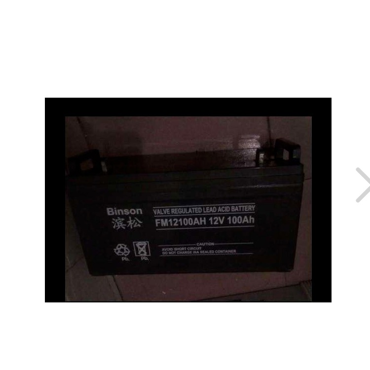 供应滨松蓄电池BS200-12机房基站UPS EPS直流屏设备12V200AH参数型号