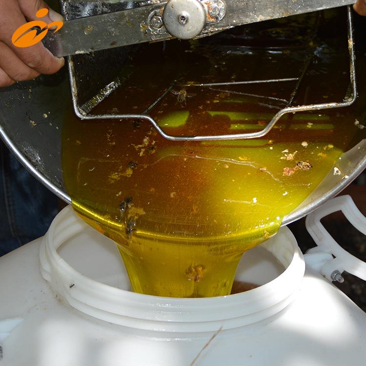 70公斤桶装散装蜂蜜土蜂蜜野生蜜 蜂蜜原料经销批发 出口品质