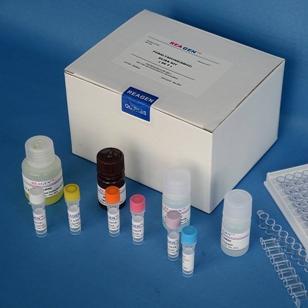 人总溶血补体试剂盒 CH50试剂盒 总溶血补体ELISA试剂盒 厂家直销