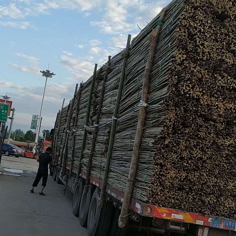 湖北大量销售农用2.2米竹架条 2.5米菜架条  细竹条批发