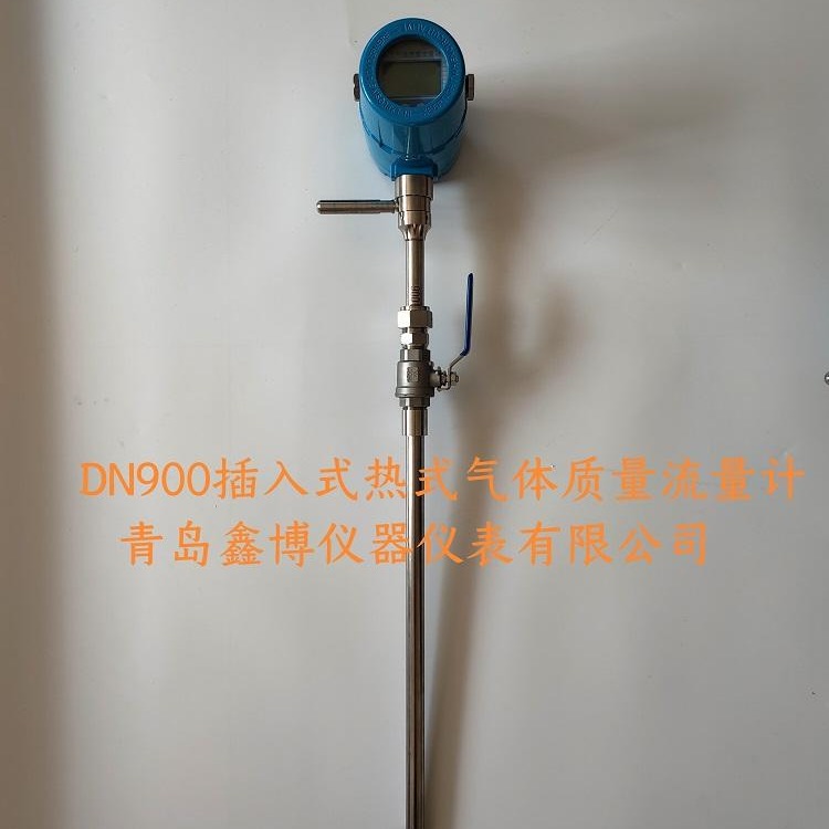 DN900热式气体质量流量计 煤气流量计 气体流量计厂家 鑫博流量
