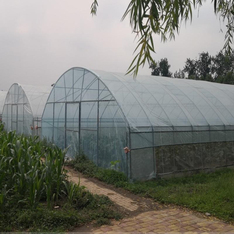 无锡钢架大棚 玻璃温室 瀚海立体草莓大棚种植