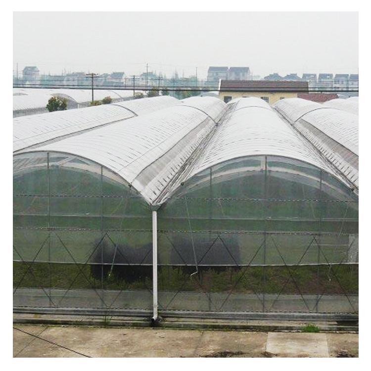 青州鑫泽厂家供应  薄膜温室  薄膜温室大棚  品质可靠 欢迎订购