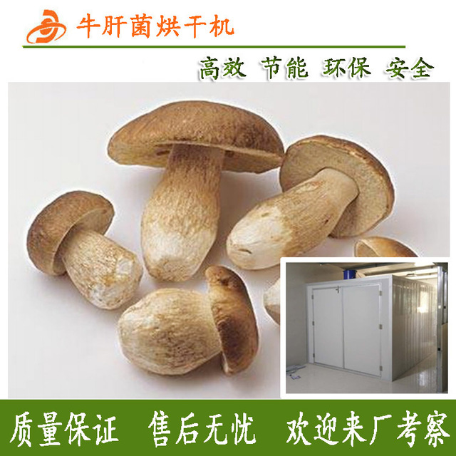 云南牛肝菌烘干机 蘑菇片猴头菇野生菌烘干设备图片