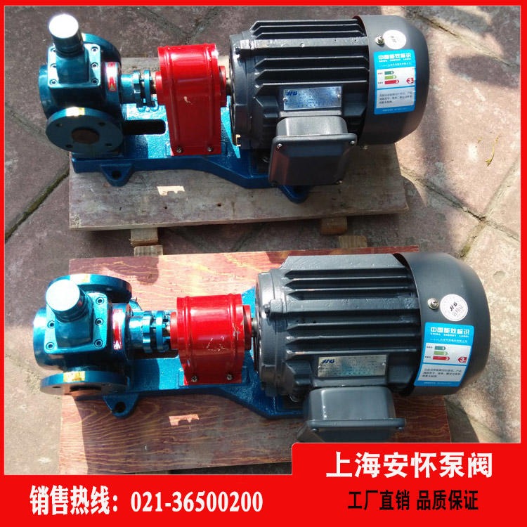 齿轮泵 上海安怀YCB3.3-0.6防爆齿轮油泵 柴油泵小齿轮油泵厂家