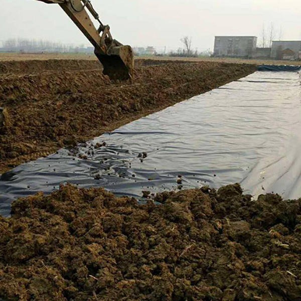 厂家销售PE土工膜 水产养殖、种植专用土工膜 品质保证 量大价优