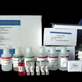 牛琥珀酸脱氢酶ELISA试剂盒 SDH试剂盒 SDH ELISA试剂盒图片