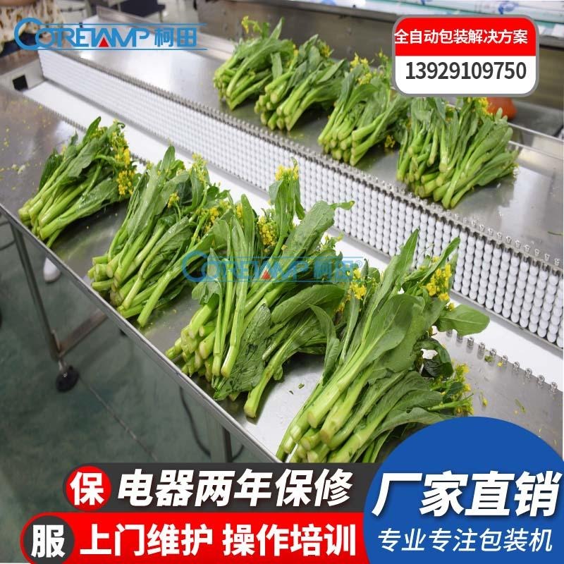 VT-280卧式菜心包装机厂家 往复式蔬菜包装机械 柯田品牌图片