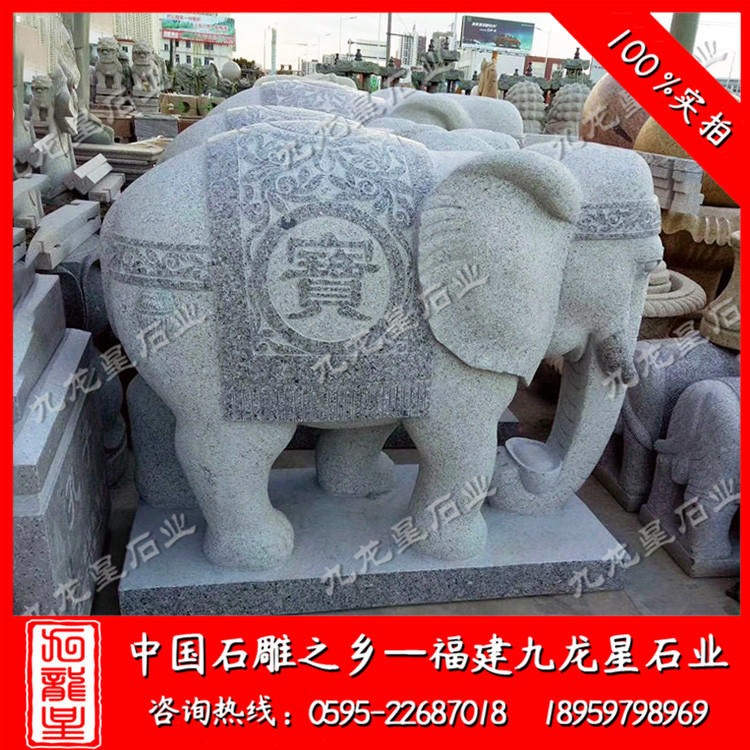 惠安石雕大象厂家 花岗岩招财大象 大象石雕报价 九龙星石业图片
