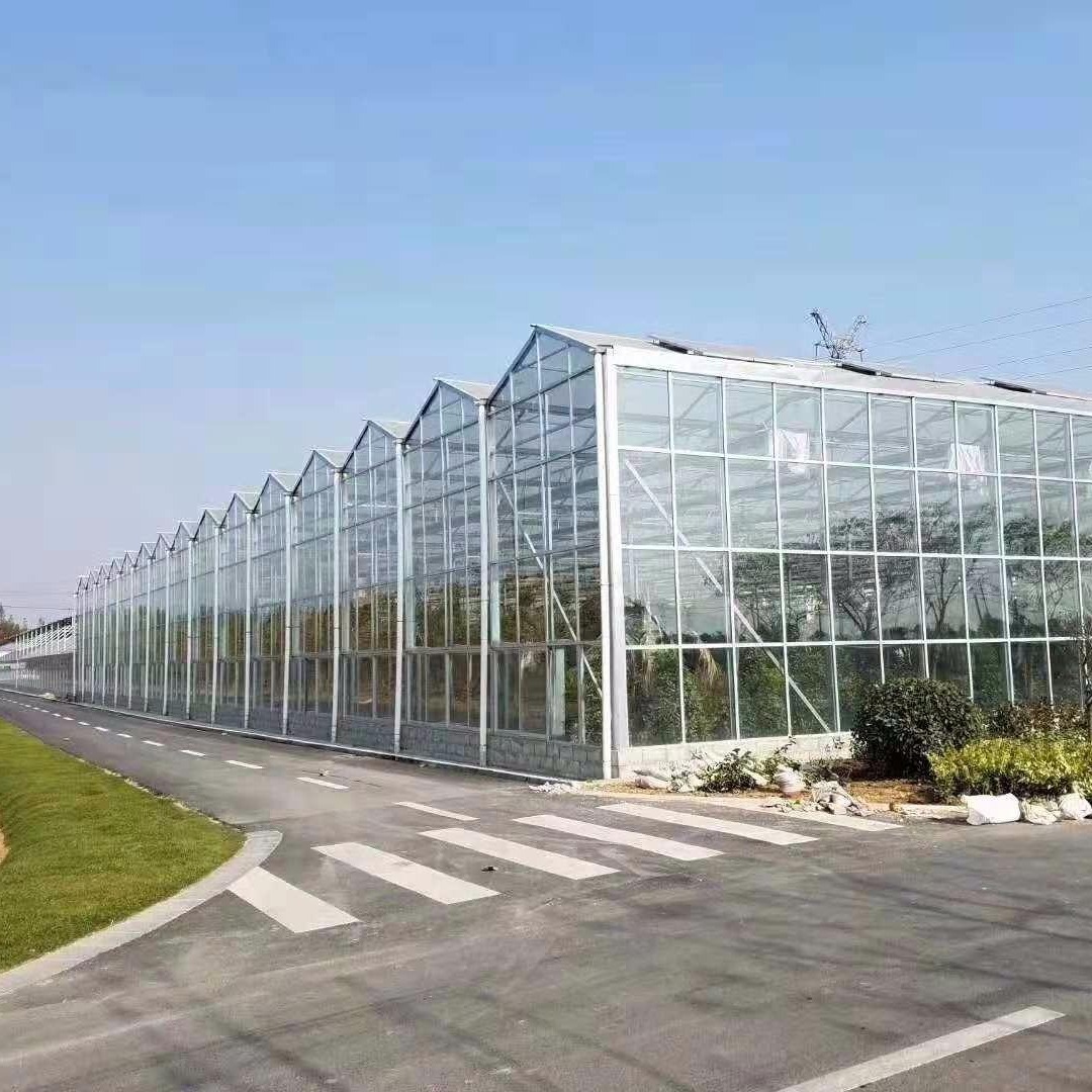 果蔬玻璃温室 花卉玻璃大棚 玻璃温室大棚安装 博伟