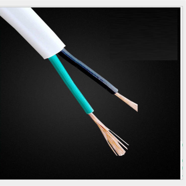 5×1.0RVV电缆 RVVZ22阻燃钢带铠装软电缆 小猫牌 6×1.0RVV电缆