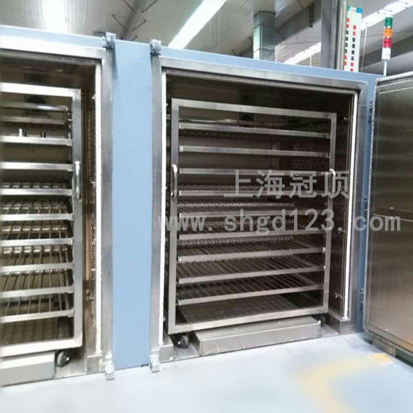 江苏高邮市生产高温烘箱的厂家 上海冠顶 非标定制