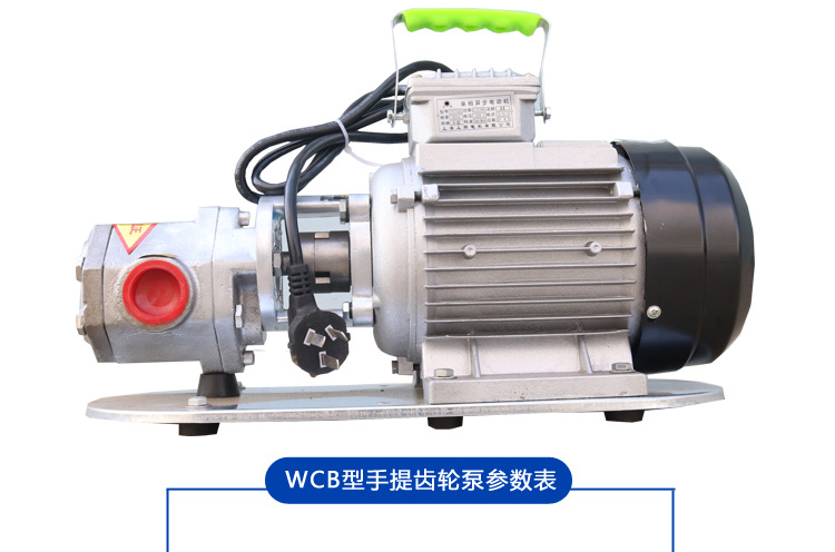 供应 不锈钢WCB75便携式电动小型齿轮油泵 304材质WCB手提齿轮泵示例图11