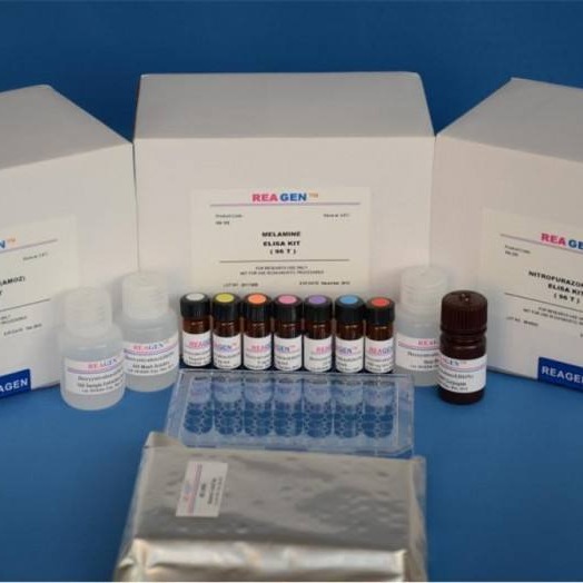 人激肽释放酶8试剂盒 KLK 8试剂盒 激肽释放酶8ELISA试剂盒 厂家直销
