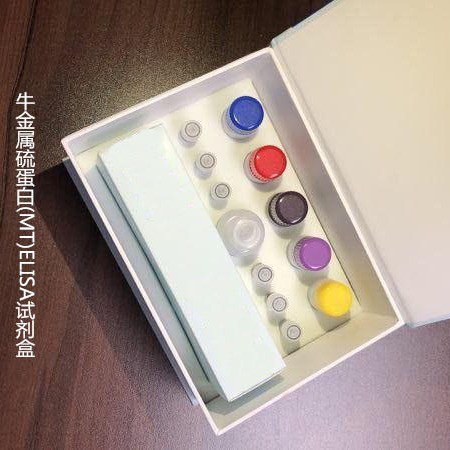 牛金属硫蛋白(MT)ELISA试剂盒  WSJH40008A  96T 维克奇图片