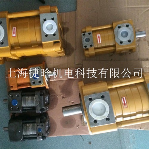NT PUMP NT5-D100F 上海液压泵销售 直线共轭内啮合齿轮泵 16MPa