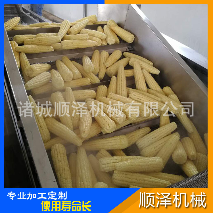 顺泽销售 玉米清洗机 玉米漂烫杀青机 速冻玉米加工设备示例图7