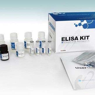 人促黄体生成素试剂盒 LH试剂盒 促黄体生成激素ELISA试剂盒 厂家直销