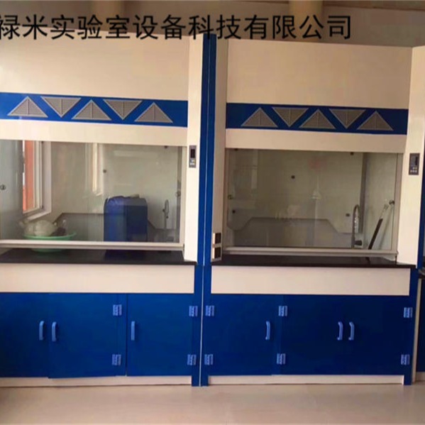 禄米实验室 广东广州食品厂玻璃钢通风柜生产厂家  LUMI-TFG4275