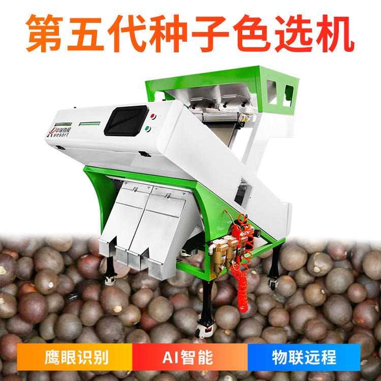 茶籽色选机 6SXZ-136 中瑞微视色选机厂家直销茶籽筛选机 价格优惠 活动促销