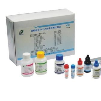 试剂盒 大鼠Ⅲ型前胶原氨基端肽试剂盒 PⅢNT试剂盒 ELISA试剂盒 慧嘉生物