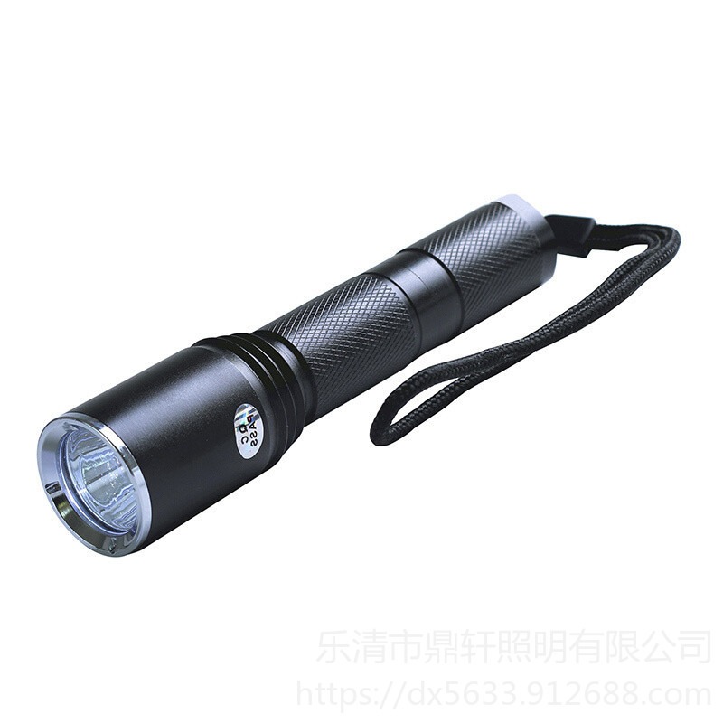 鼎轩照明QC520A固态强光防水LED电筒电池充电器3W图片