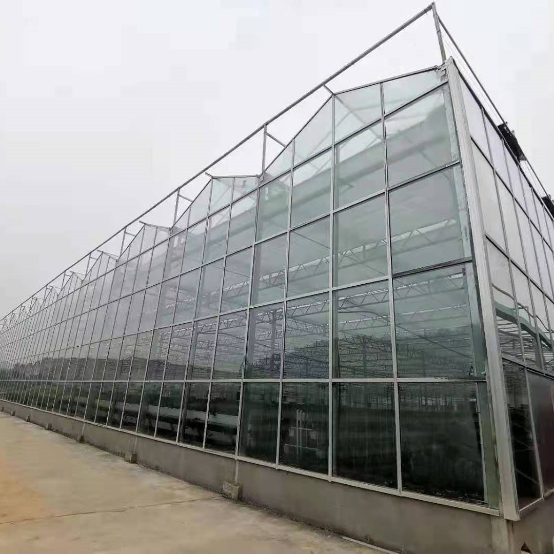 定制玻璃温室大棚  建造玻璃温室大棚 蔬菜花卉大棚 温室大棚厂家