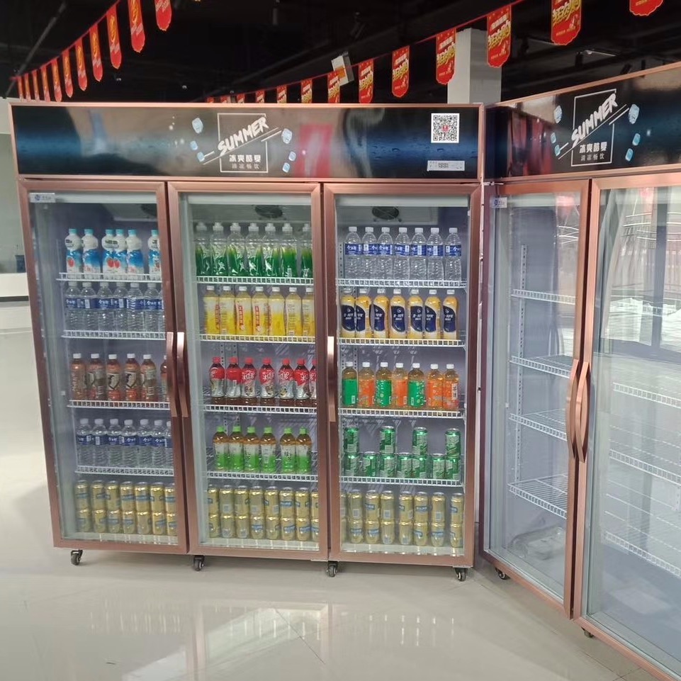 固始县立式饮料柜   双门饮料柜  冷藏饮料柜· 厂家定制 未来雪冷柜 WLX-YLG29图片