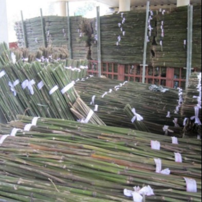 京西竹业 厂家直销 小竹竿批发 大量批发江西3米农用小竹竿
