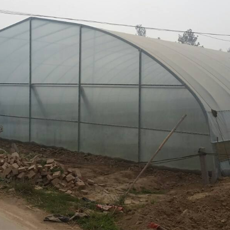 丞昊农业供应 四川 蓝莓种植 几字钢日光温室 质量保证
