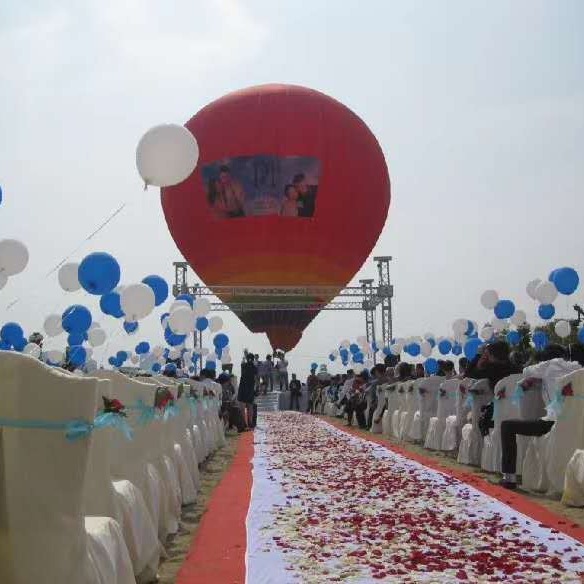 热气球出租 大型热气球租赁 载客热气球租赁 恐龙展 水上飞人租赁图片
