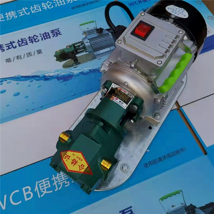 华海泵业 不锈钢油泵 220v便携式手提泵
