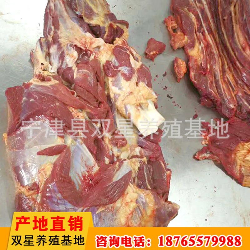 精品批发驴脊骨肉 新鲜驴骨头肉 饭店用生鲜驴肉示例图36
