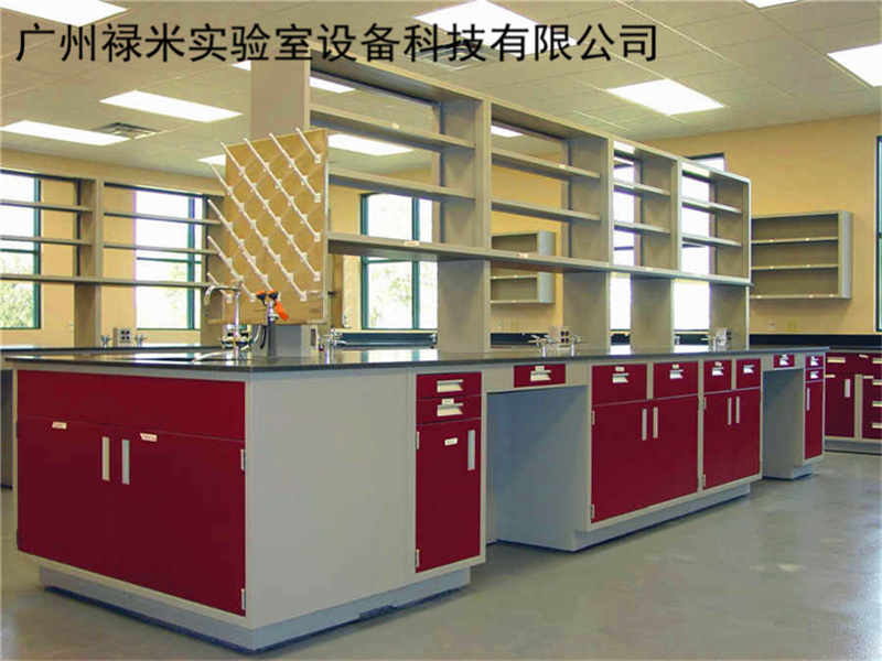 厂家定做全钢实验台 中央实验台 实验桌 中央台 广州禄米实验室公司LM-QG006