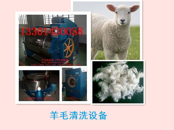 100公斤羊毛清洗机厂家直销小型羊毛清洗设备工业用洗衣机示例图1