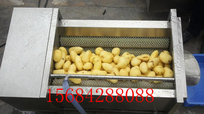供应土豆清洗去皮机 毛刷清洗机  进口尼龙绳压制而成示例图1