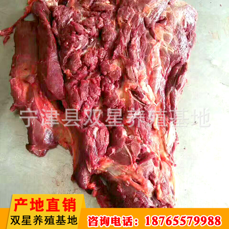 新鲜驴肉新鲜去皮现宰 生鲜驴肉肋条肉 四分体驴肉有机食品示例图16