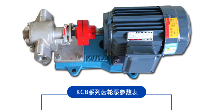 厂家直供 不锈钢KCB-55卧式电动齿轮抽油泵 卫生高温齿轮泵 批发示例图11