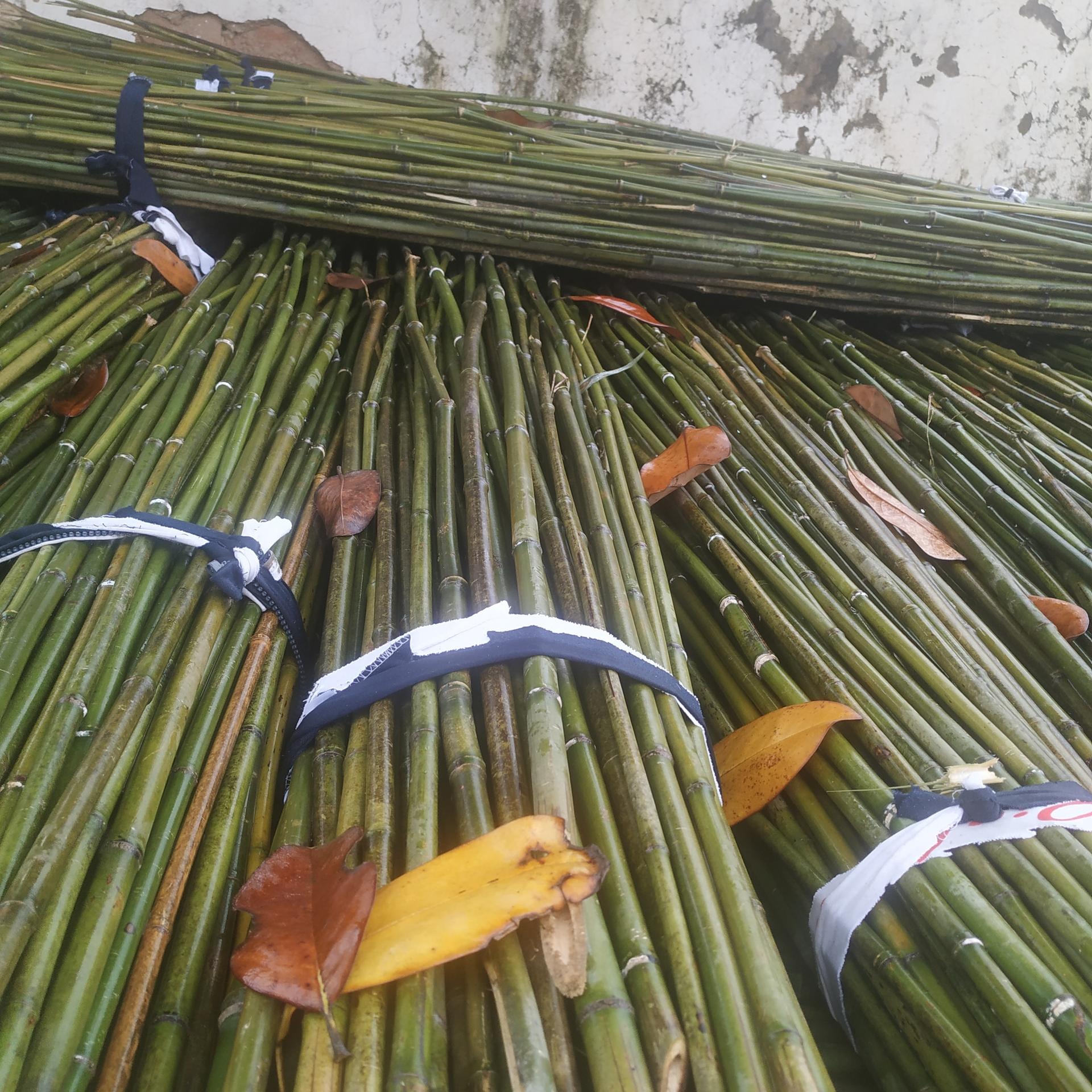 安徽产地销售菜架竿2.2米2.5米2.8米3米竹竿