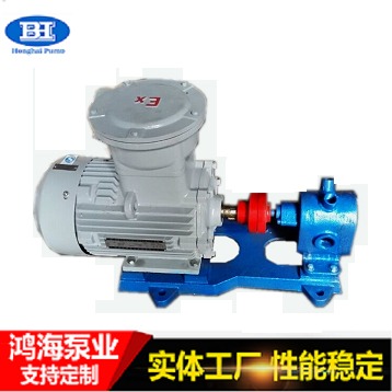 2CY齿轮泵 鸿海泵业 圆弧泵 增压泵  液压泵 现货供应 质优价廉